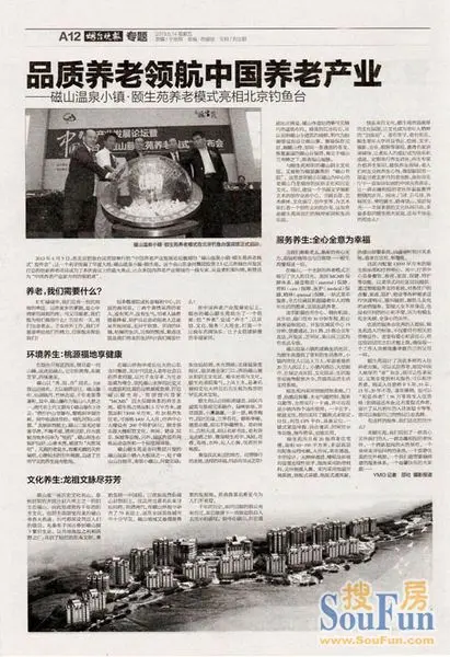 全球华人抗议西方媒体失实报道_新闻中心_中华网